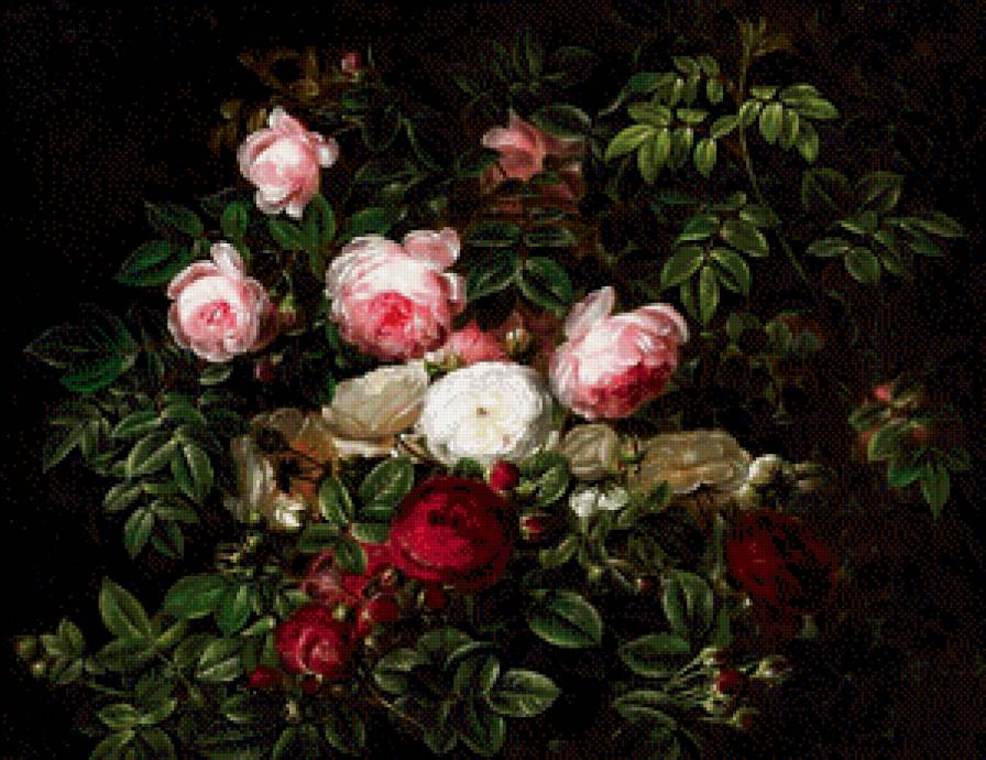 старинная картина - роза, цветы, куст, живопись, розы - предпросмотр