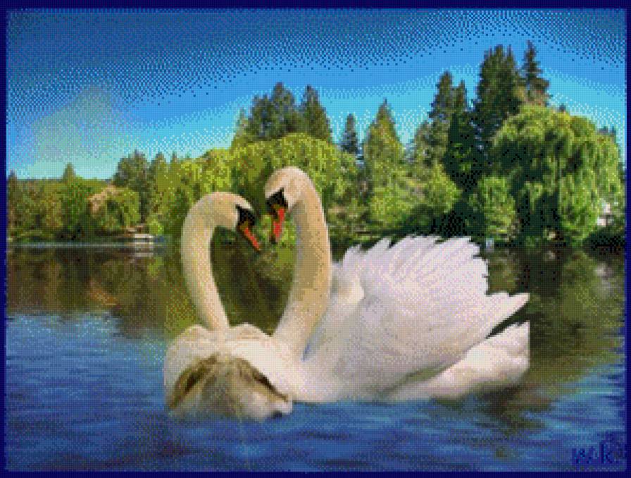 два лебедя5 - предпросмотр