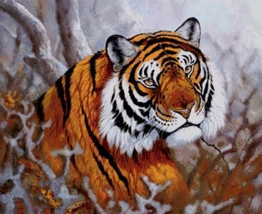 красавец - хищник, природа, живопись, тигр - предпросмотр