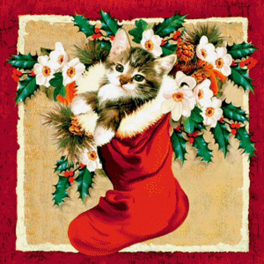 лучший подарок? это я! - остролист, кот, новый год, носок, котенок - предпросмотр