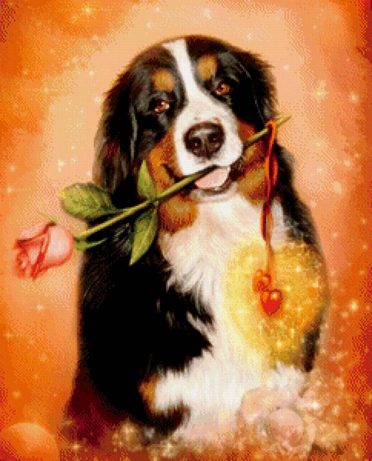 всегда люблю! - цветок, роза, сердце, собака, валентинка - предпросмотр