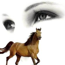 Схема вышивки «лошадь»