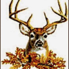 Схема вышивки «Олень»