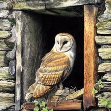 Схема вышивки «№470557»