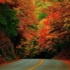 Схема вышивки «№470645»