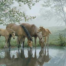 Схема вышивки «Persis Clayton Weirs»