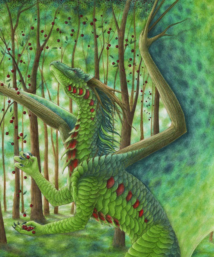 Летний дракон - драконы - оригинал