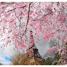 Схема вышивки «Париж»