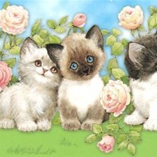 Схема вышивки «№470825»