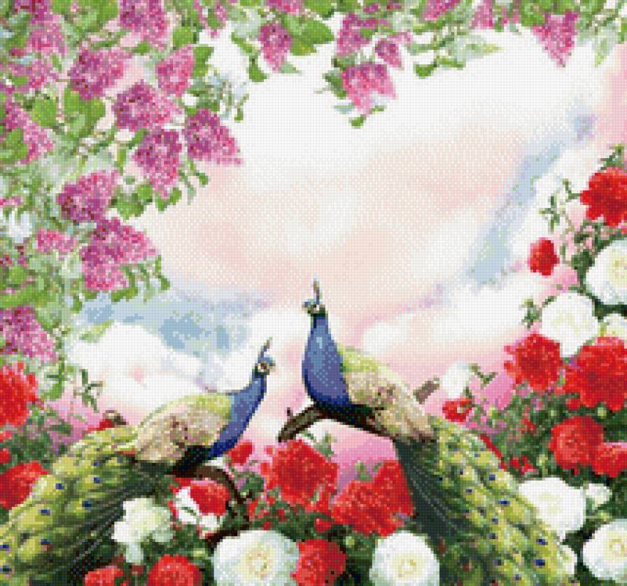 Павлины - павлины, цветы, сирень, розы - предпросмотр
