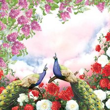 Схема вышивки «Павлины»