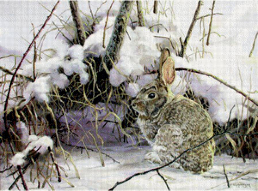 Заяц зимой. - зайцы, зима - предпросмотр