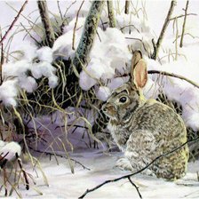Схема вышивки «Заяц зимой.»
