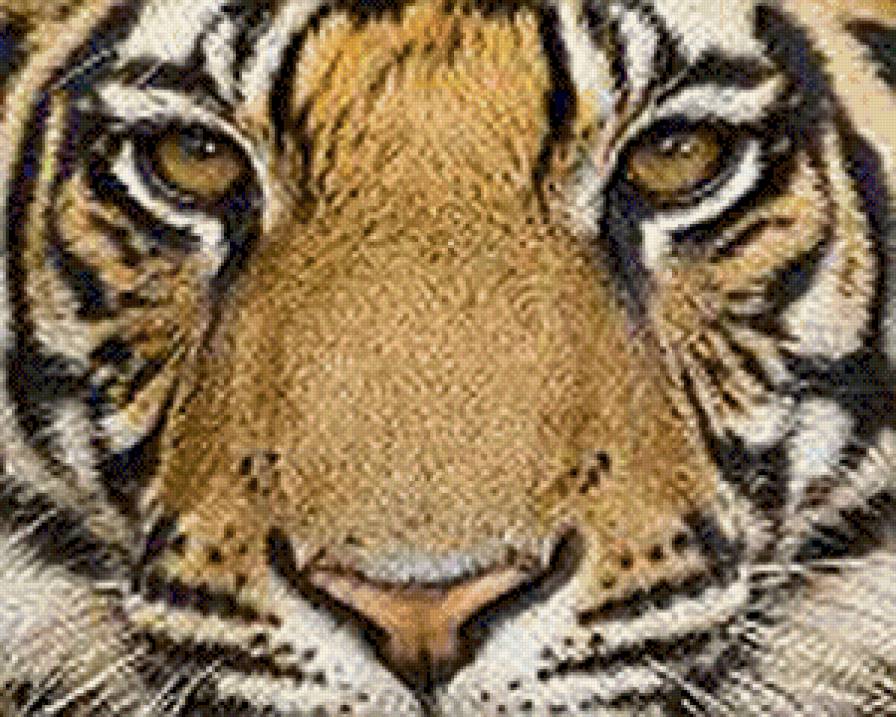 Голова тигра - животные - предпросмотр