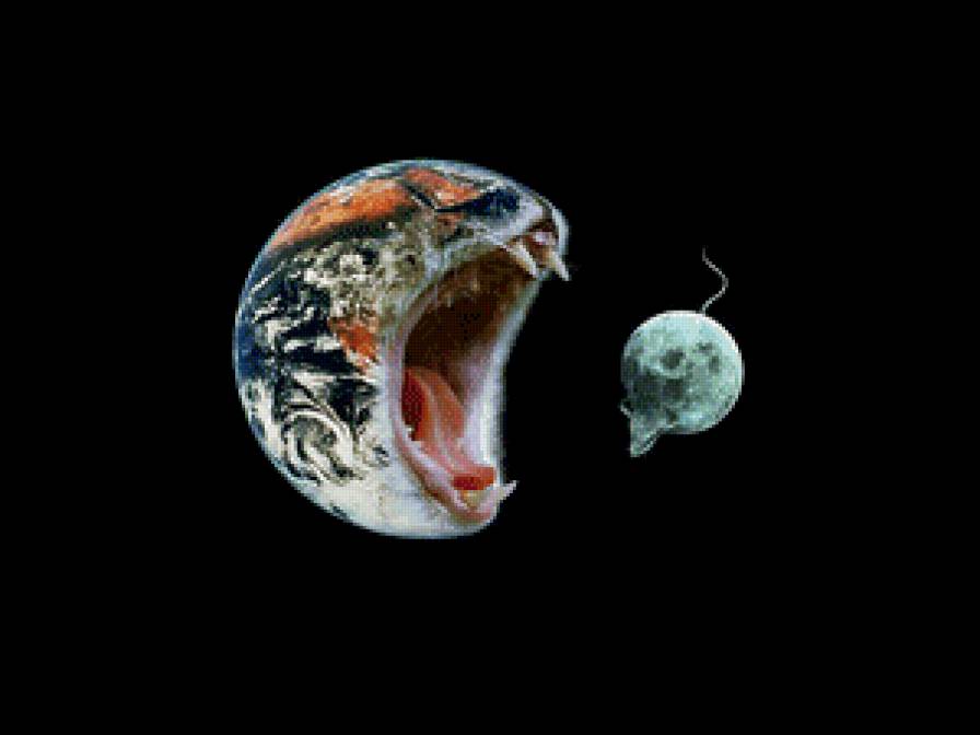 Земля - кошка )) - земля, кошки - предпросмотр