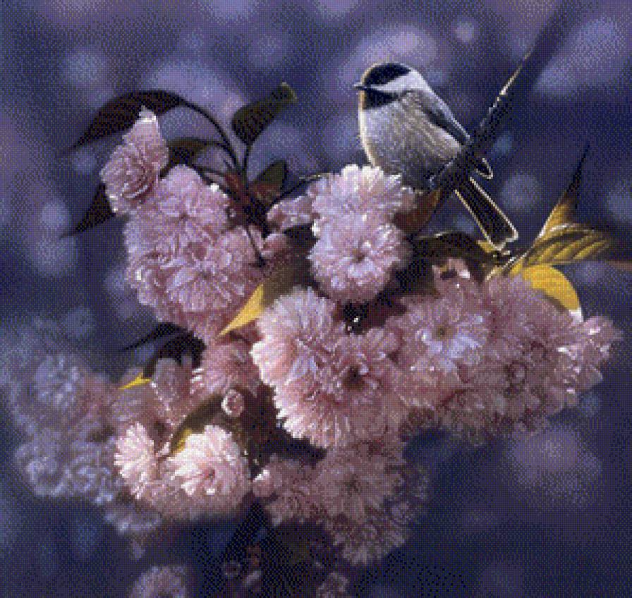 птичка - предпросмотр