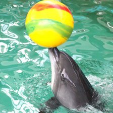 Схема вышивки «дельфин»