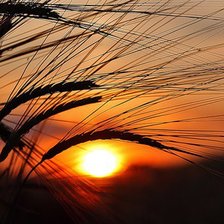 Схема вышивки «Глаз Солнца ))»