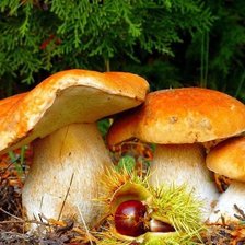 Схема вышивки «№471128»