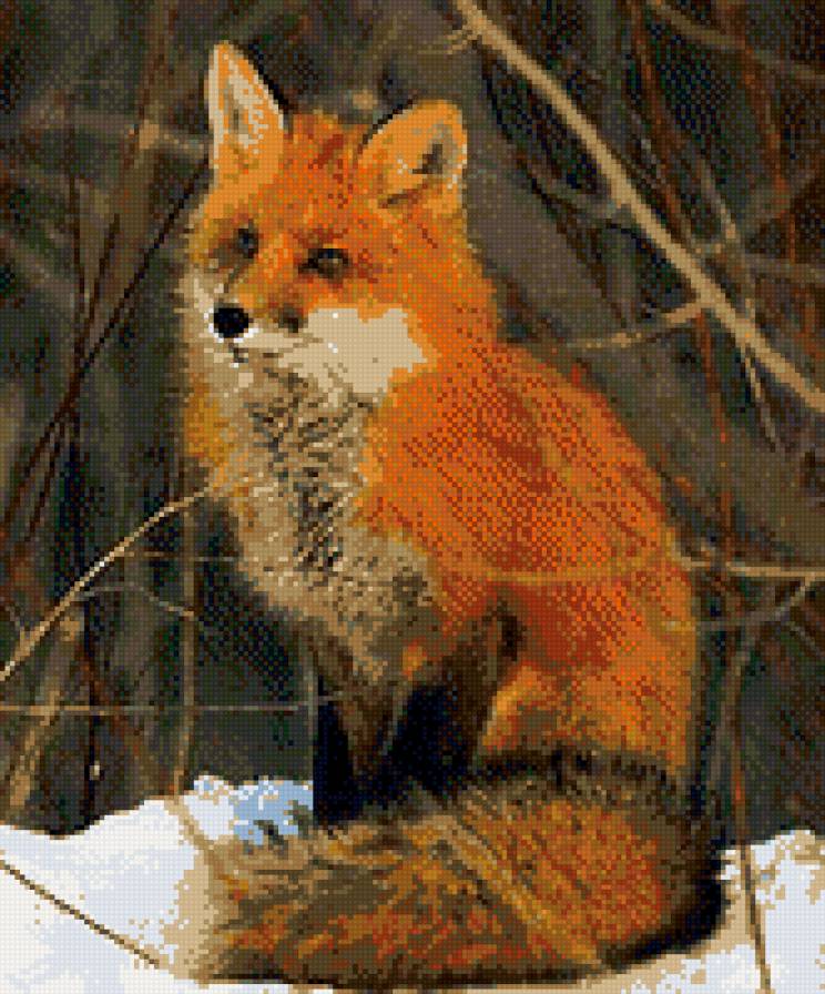 лисичка - животные - предпросмотр