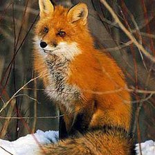 Схема вышивки «лисичка»