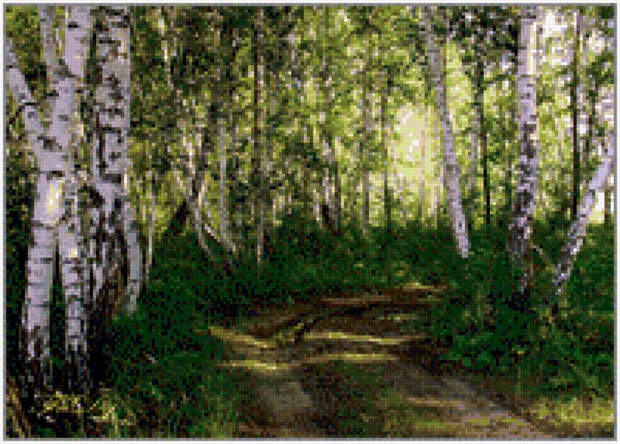 березы - пейзаж - предпросмотр