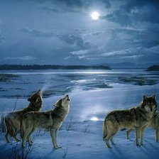 Схема вышивки «Стая волков»