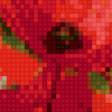 Предпросмотр схемы вышивки «маки» (№471267)