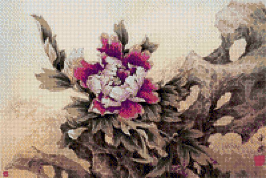 дикий пион - цветы, пионы - предпросмотр