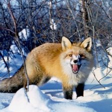 Схема вышивки «лиса в лесу»