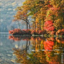 Схема вышивки «осень»