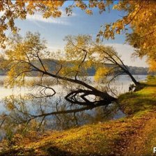 Схема вышивки «осень»