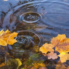 Схема вышивки «круги на воде»