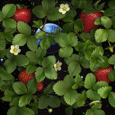 Схема вышивки «картина»