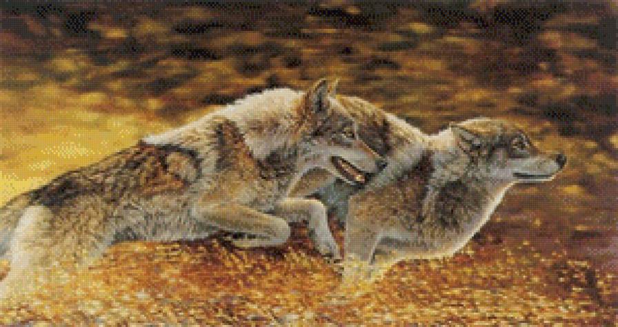 Бегущие волки - животные, волки - предпросмотр