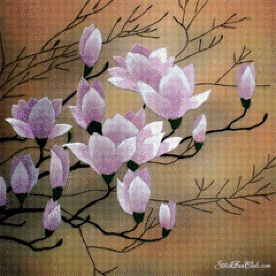 Магнолия - азия, восток, пейзаж, цветы - предпросмотр