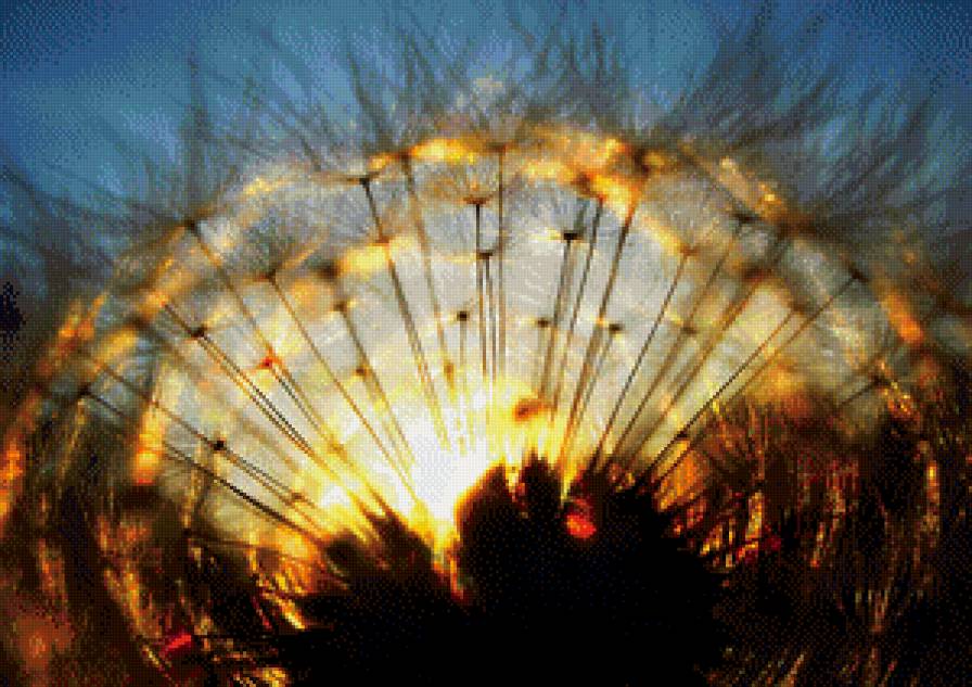 Цветок Солнца - солнце, цветы - предпросмотр