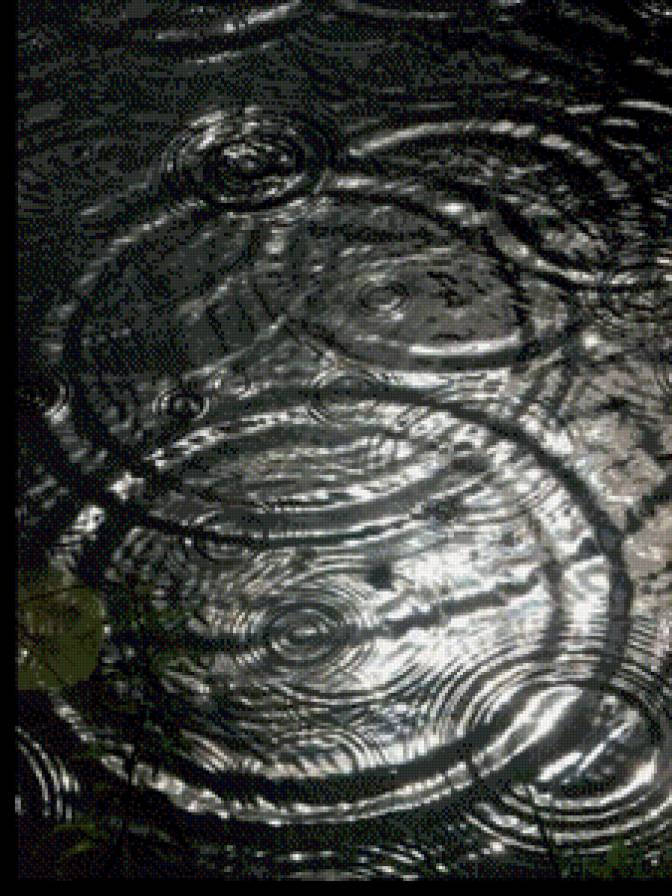 Дождь.Круги на воде - дождь, круги, вода - предпросмотр