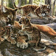 Схема вышивки «Пума с малышами.»