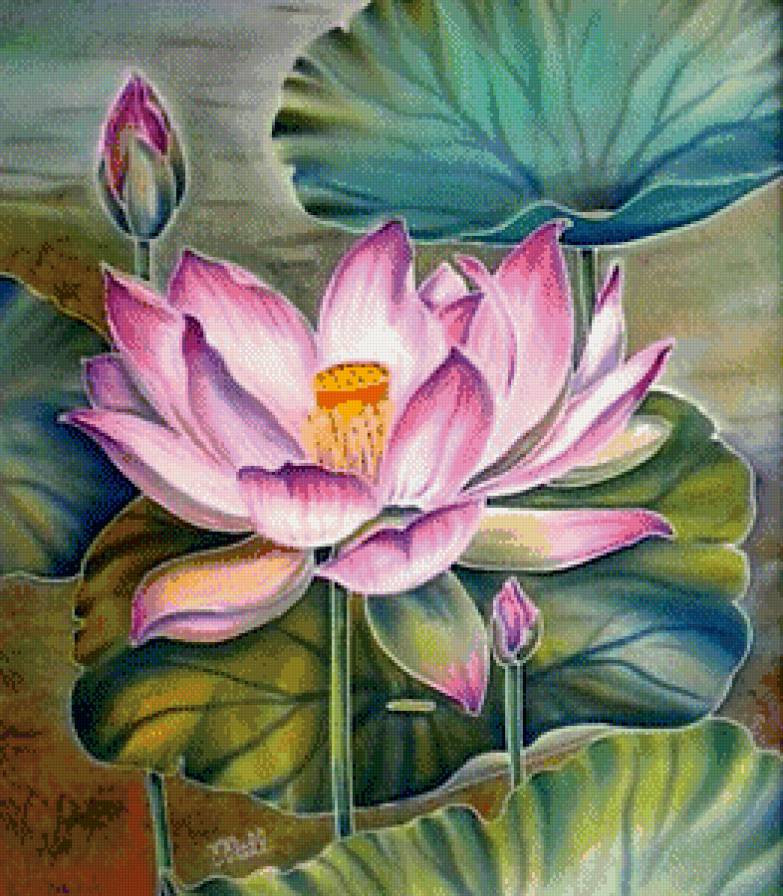 Лотос - цветы, лотосы, озеро - предпросмотр