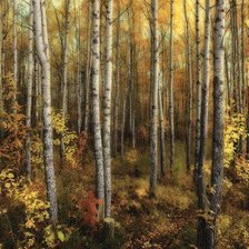 Схема вышивки «Берёзовая роща.Осень.»