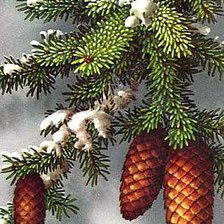 Схема вышивки «Еловая ветка»