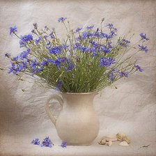 Схема вышивки «Васильки»