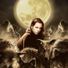 Схема вышивки «Волки»