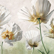 Схема вышивки «маки»