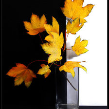 Схема вышивки «осень»