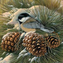 Схема вышивки «Синичка на сосновой ветке.»