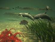 Схема вышивки «дельфины»