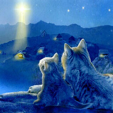 Схема вышивки «рождественская звезда»