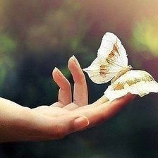 Схема вышивки «бабочка на руке»